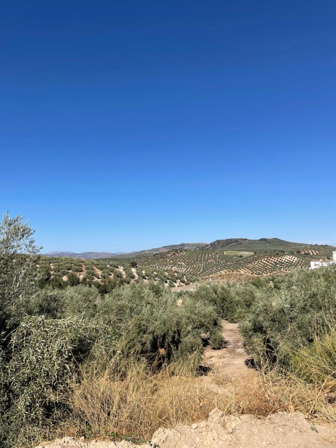 Lafrenchtouch - Relajate Y Desconecta Al Pueblo Villa Villanueva de Tapia ภายนอก รูปภาพ
